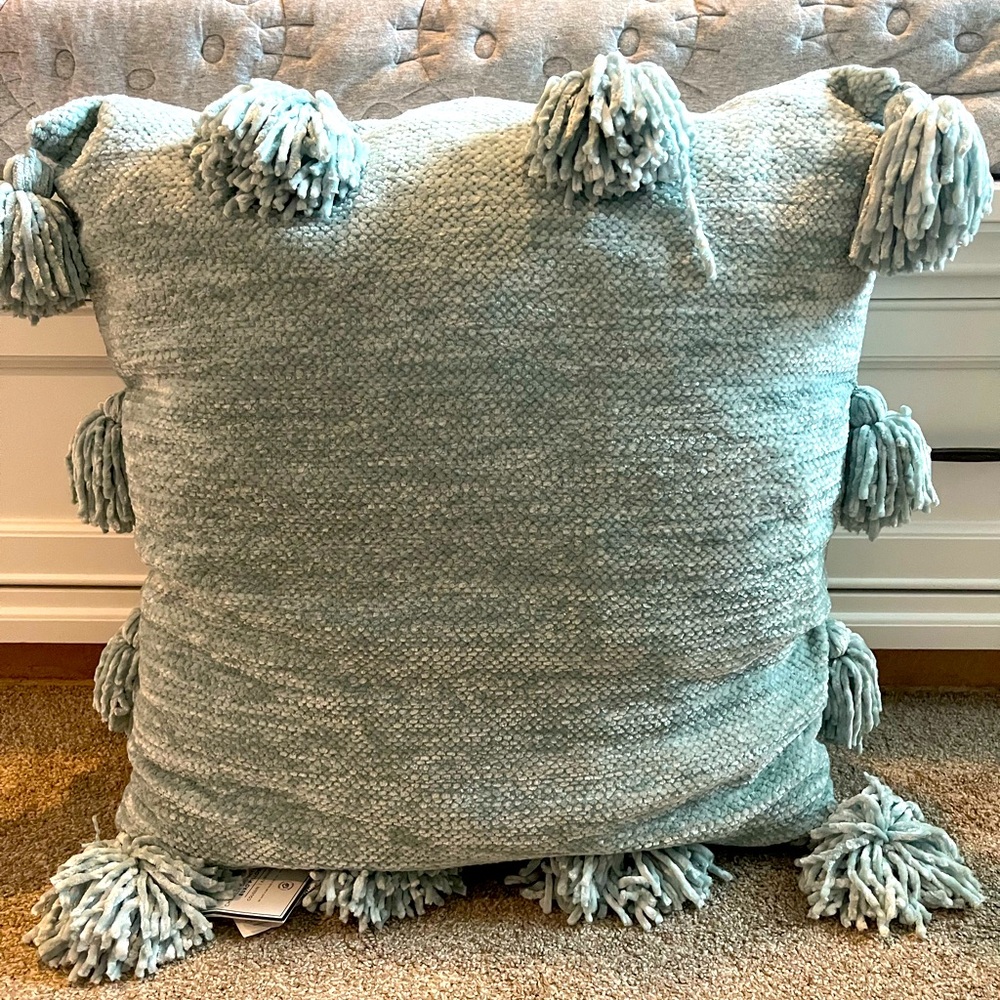 Pottery Barn Teal Chenille Euro Tassel Large Square Throw Pillow NWT